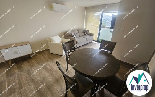 Alquiler Amueblado en Distrito Artemisa