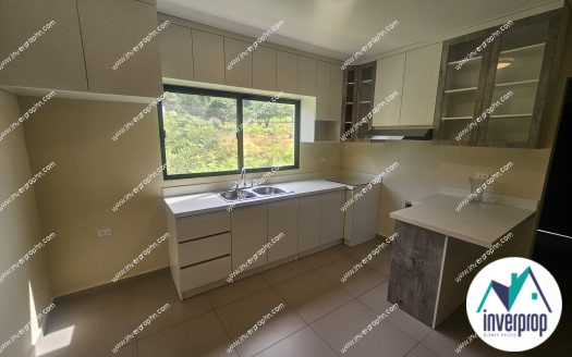 Alquiler Apartamento Tatumbla