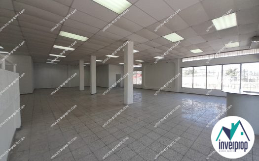 Alquiler Local Comercial Colonia Alameda