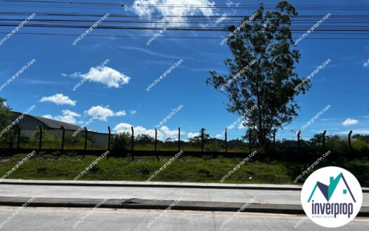 Alquiler Terreno Siguatepeque