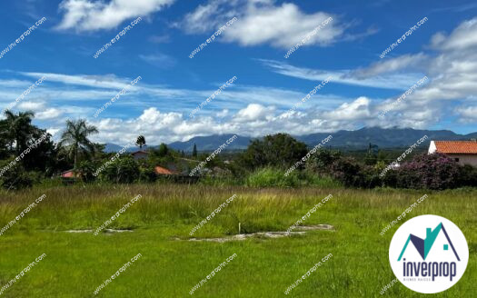 Alquiler Terreno Siguatepeque