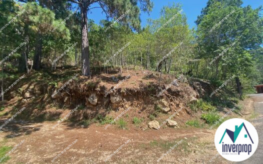 Terreno en Venta en Villa Elena