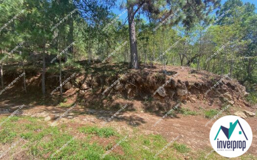 Terreno en Venta en Villa Elena