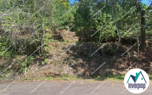 Venta de Terreno en Villa Elena