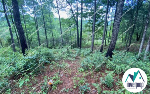 Terreno en Venta en Valle de Angeles 5000 V2