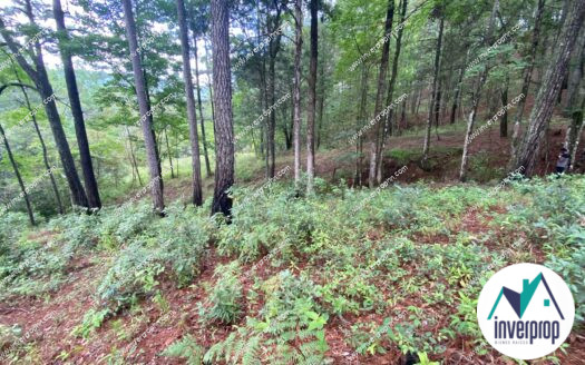 Terreno en Venta en Valle de Angeles 5000 V2