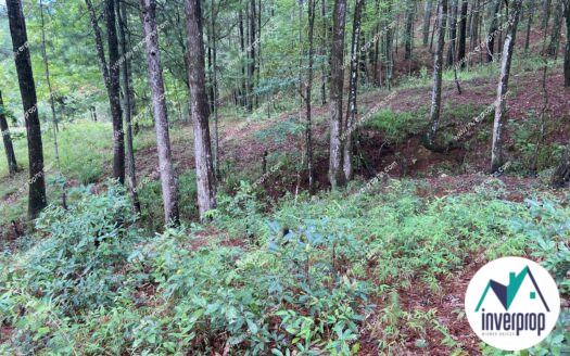 Terreno en Venta en Valle de Angeles 5000 V2