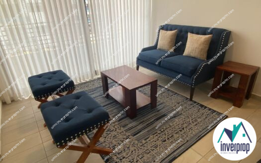 Alquiler Apartamento Amueblado Torre Acacias