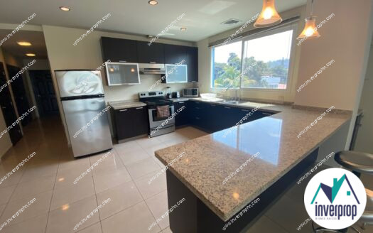 Alquiler de Apartamento en Palmira