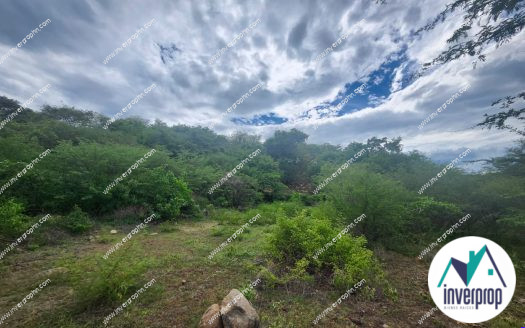 Venta Lotes Residenciales Pespire