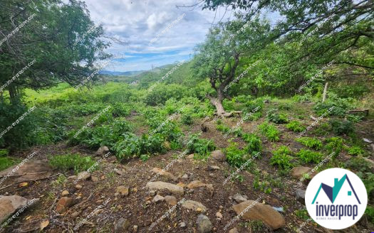 Venta Lotes Residenciales Pespire