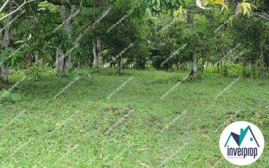 Venta Terreno Galeras El Paraiso