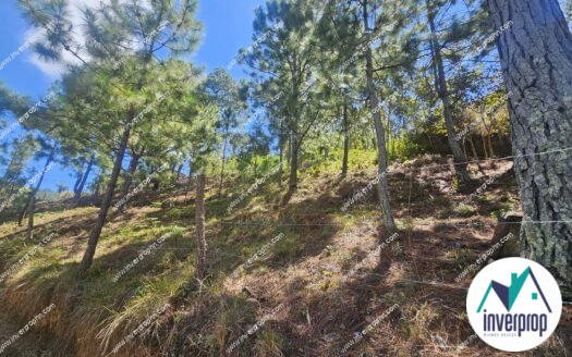 Venta Terreno Valle de Ángeles