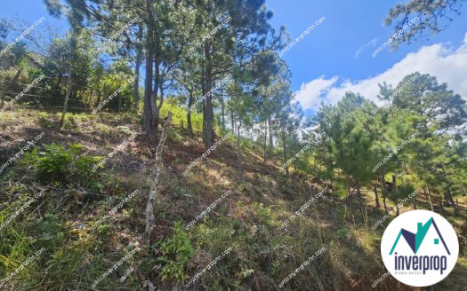 Venta Terreno Valle de Ángeles