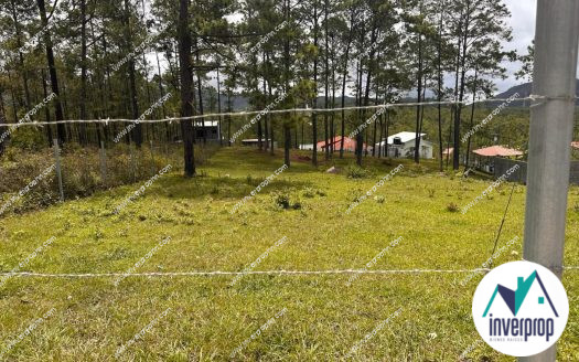 Venta Terreno Valle de Angeles