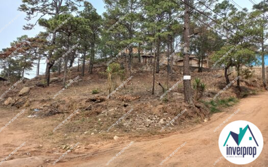 Venta Terreno Villa Vieja Tegucigalpa