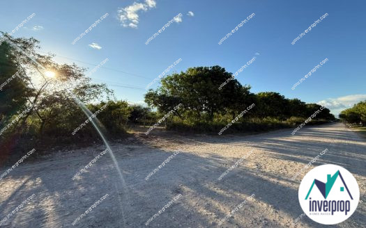 Venta Terreno en Comayagua