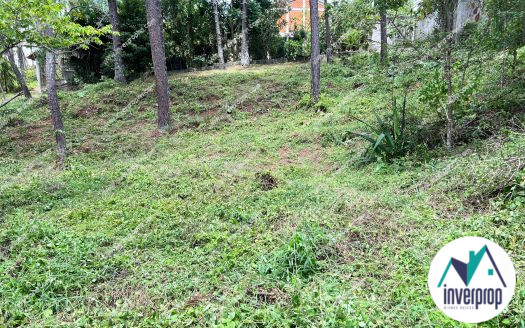 Venta Terreno en Pinares del Valle