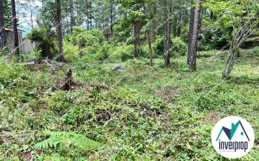 Venta Terreno en Pinares del Valle