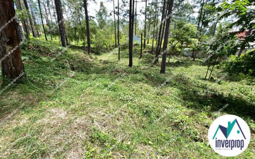 Venta Terreno en Pinares del Valle