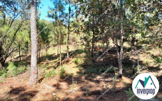 Venta Terreno en Santa Ana