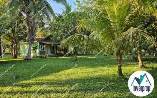 Venta Terreno en Santiago Tela