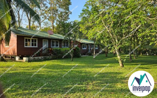 Venta Terreno en Santiago Tela