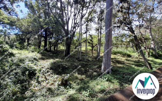 Venta Terreno en Villa Elena