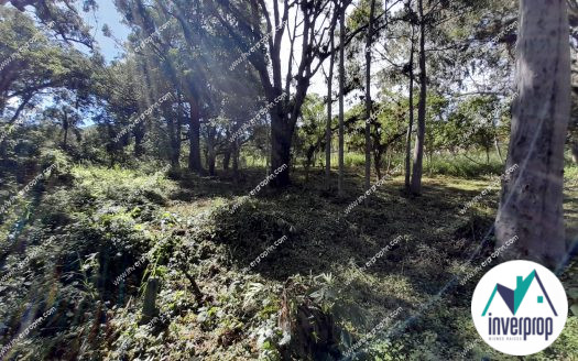 Venta Terreno en Villa Elena