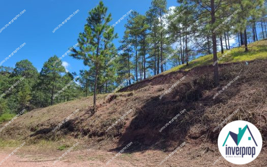 Venta Terreno en Villa Vieja Tegucigalpa