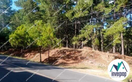 Venta Terrenos Valle de Ángeles