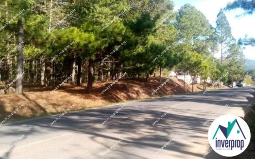 Venta Terrenos Valle de Ángeles