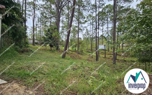 Venta de Terreno Pinares del Valle
