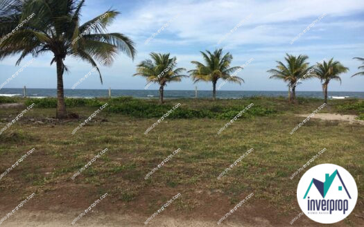 Venta de Terreno Tela