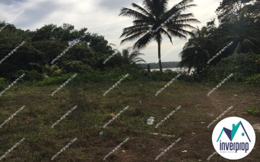 Venta de Terreno Tela