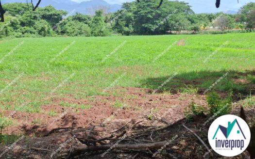 Venta de Terreno en Comayagua
