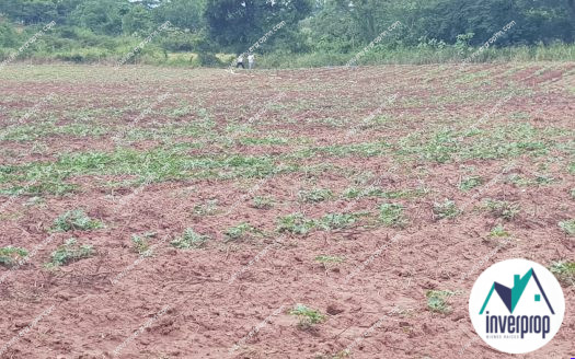 Venta de Terreno en Comayagua