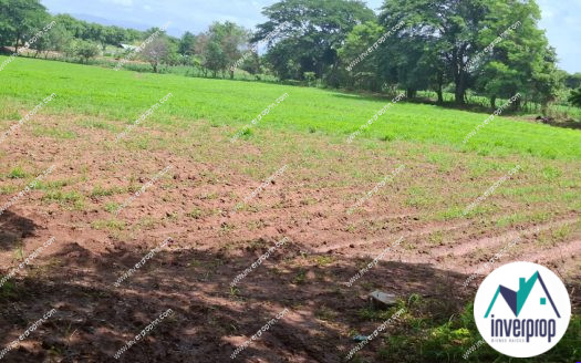 Venta de Terreno en Comayagua