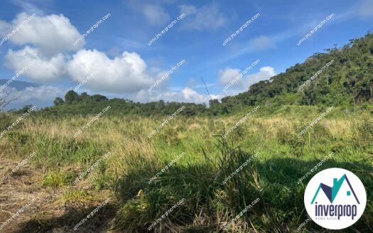 Venta de Terreno en Lago de Yojoa