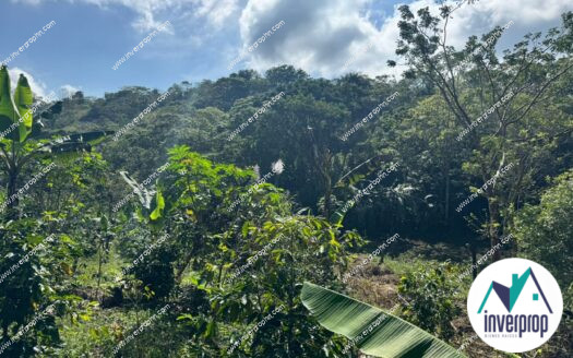 Venta de Terreno en Lago de Yojoa