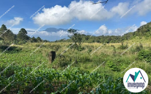 Venta de Terreno en Lago de Yojoa