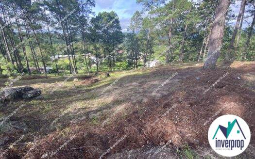 Venta de Terreno Valle de Angeles