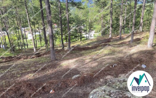 Venta de Terreno Valle de Angeles