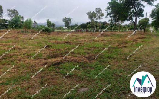 Venta de Terreno Los Olivos Yuscarán