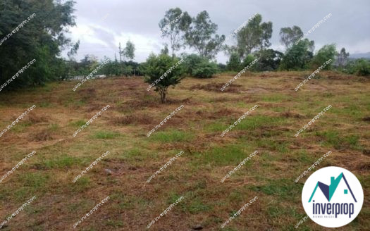 Venta de Terreno Los Olivos Yuscarán