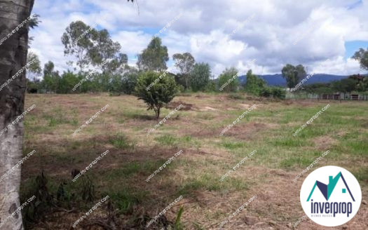 Venta de Terreno Los Olivos Yuscarán