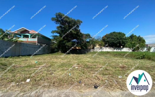 Terrenos en Venta El Naranjal La Ceiba